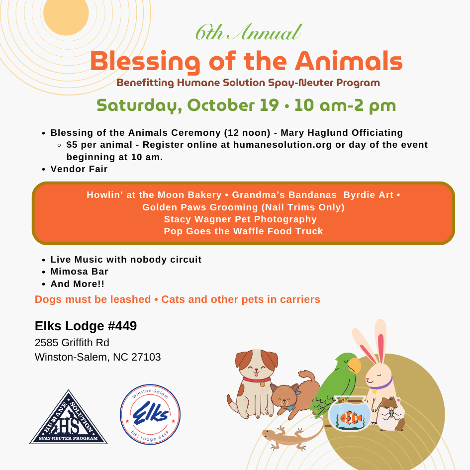 Blessing of the Animals - Flyer (Instagram Post) (1)