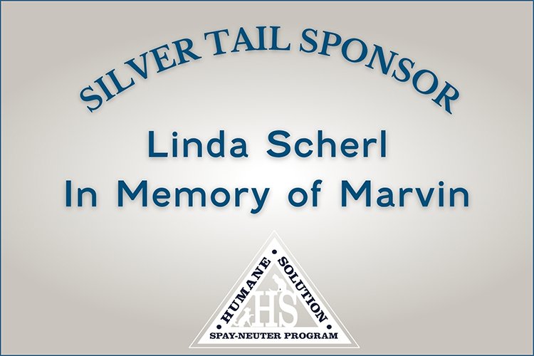 SPONSORSHIP LOGOS - scherl