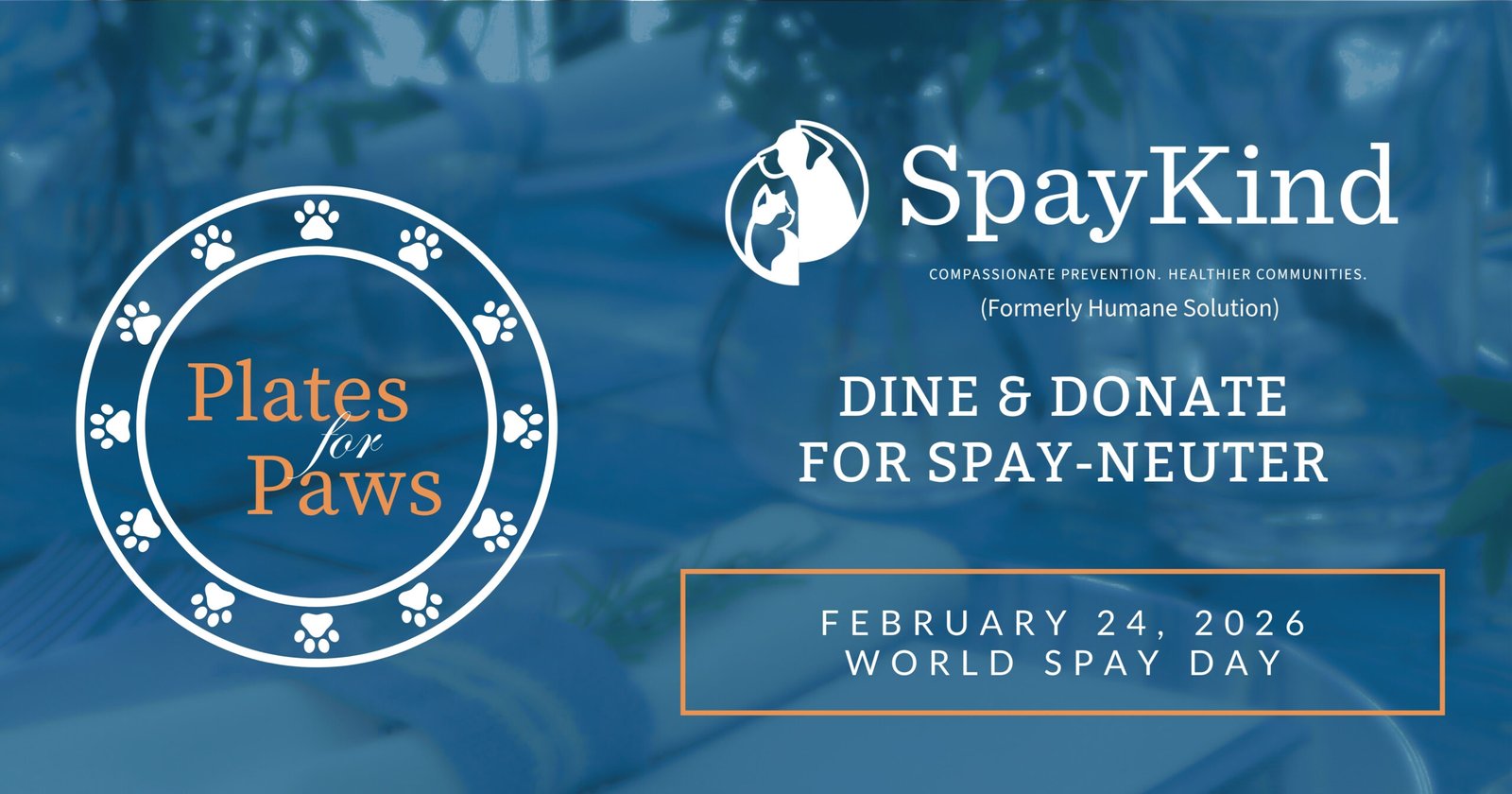 P4P 2026 web header - 1