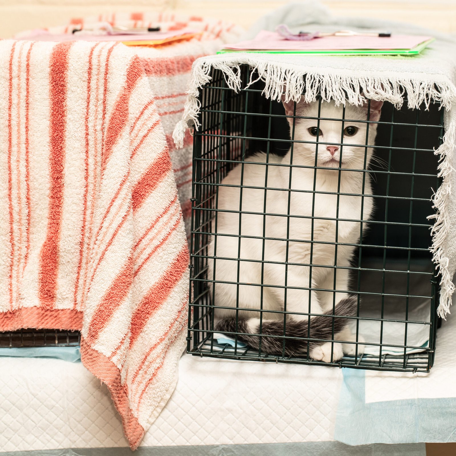 20250614 Solution_-72